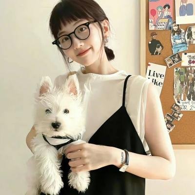 麻烦专家